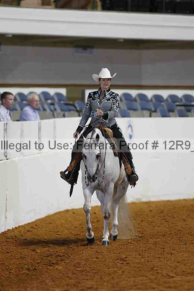 Proof Number 12r9_2593