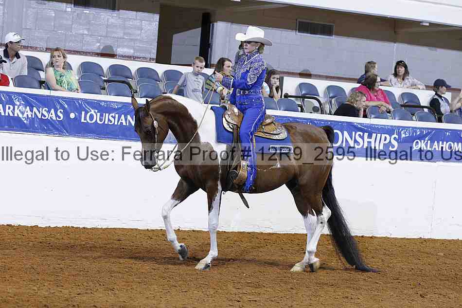 Proof Number 12r9_2595