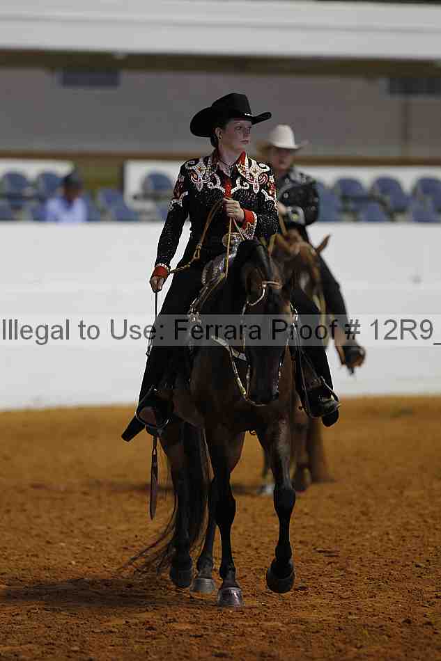 Proof Number 12r9_2597