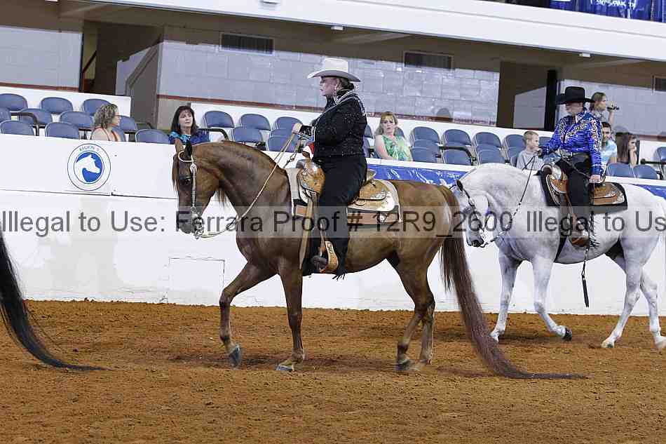 Proof Number 12r9_2600
