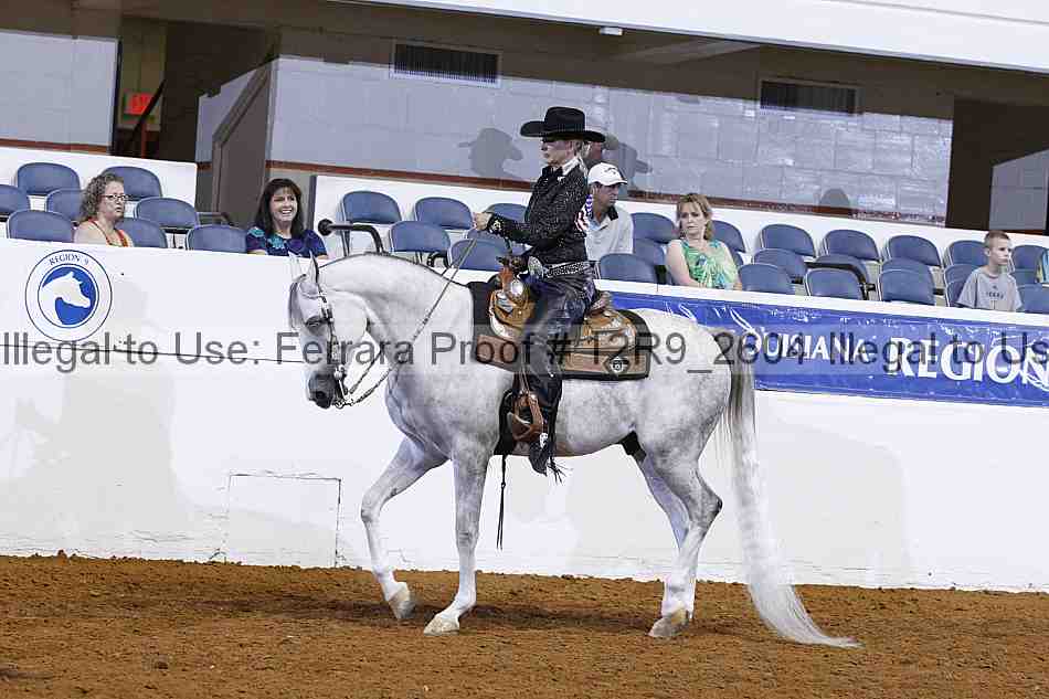 Proof Number 12r9_2604