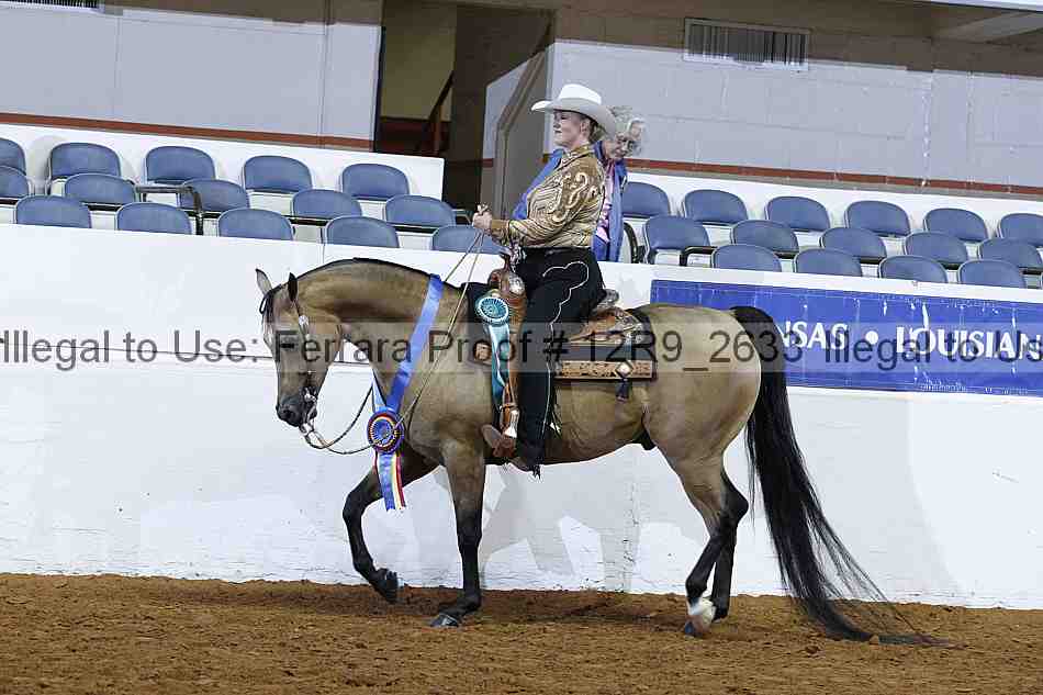 Proof Number 12r9_2633