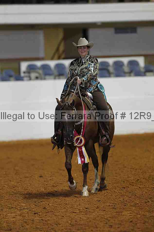 Proof Number 12r9_2635