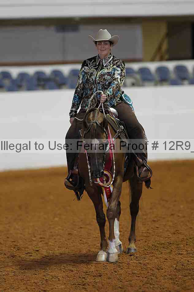 Proof Number 12r9_2637