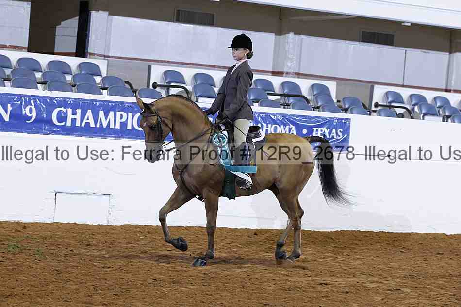 Proof Number 12r9_2678