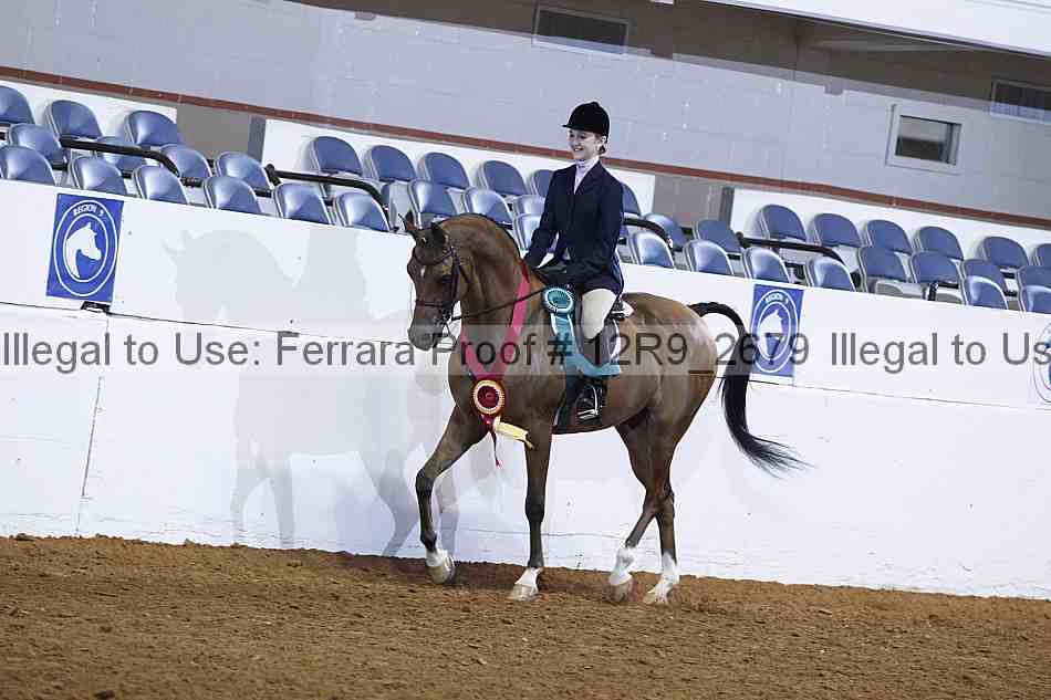Proof Number 12r9_2679