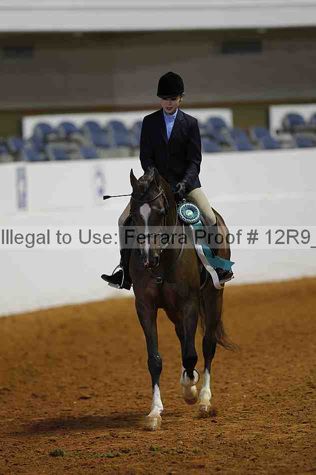 Proof Number 12r9_2685