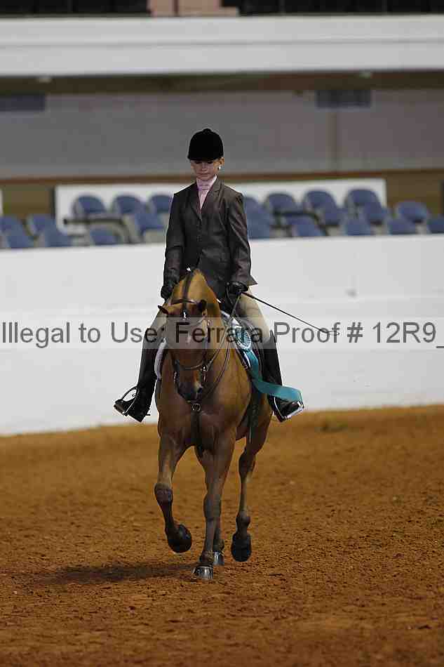 Proof Number 12r9_2686