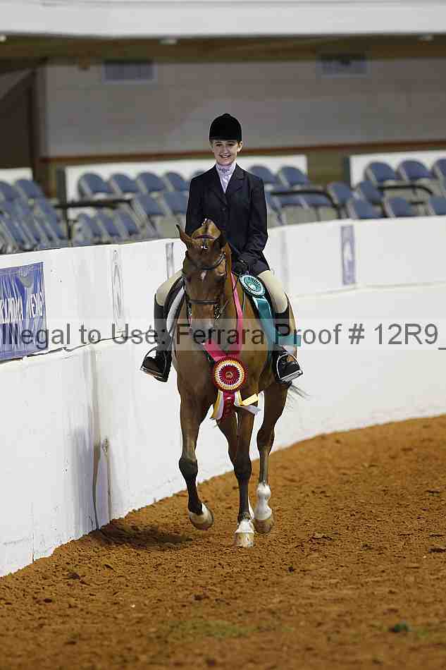 Proof Number 12r9_2689