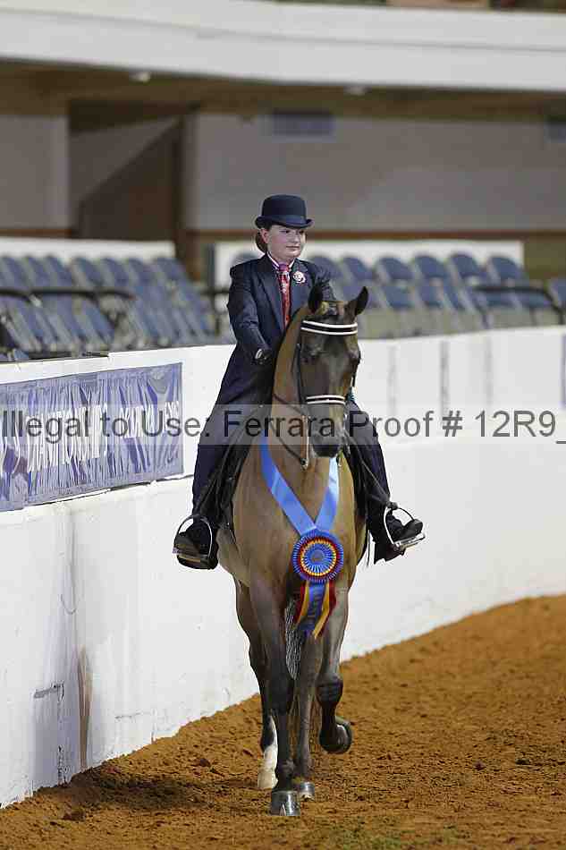 Proof Number 12r9_2728