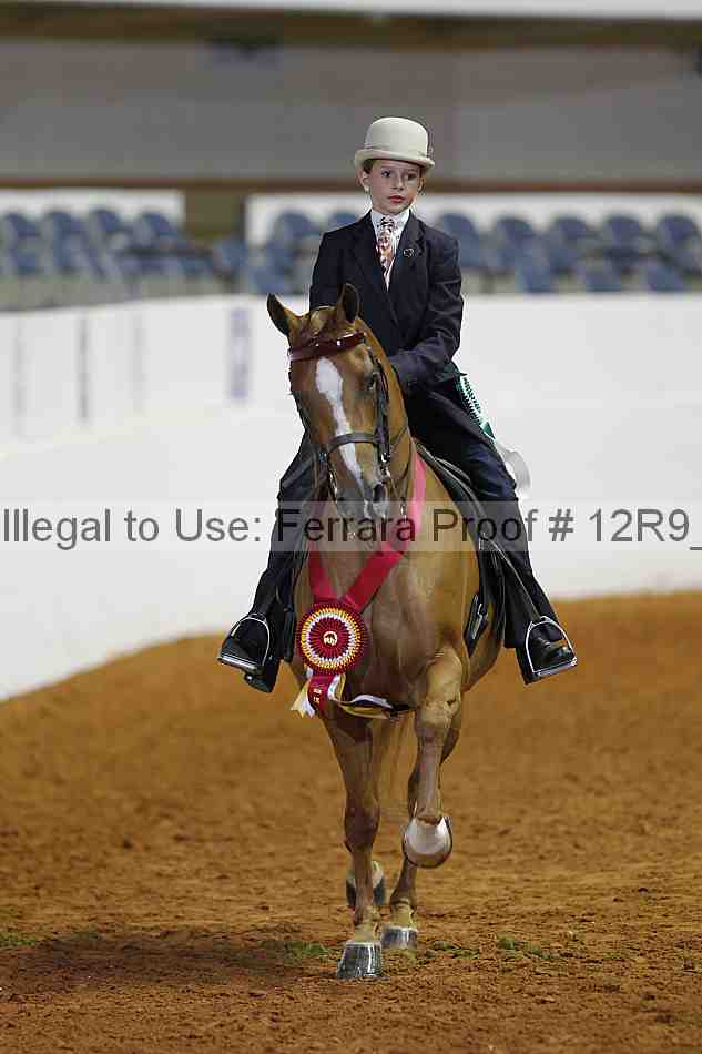 Proof Number 12r9_2732