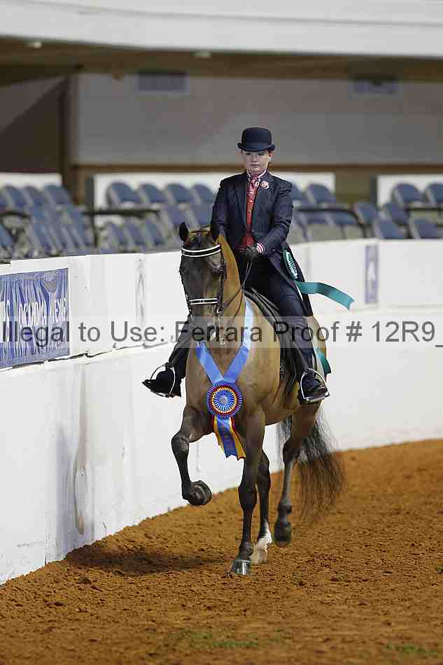 Proof Number 12r9_2736