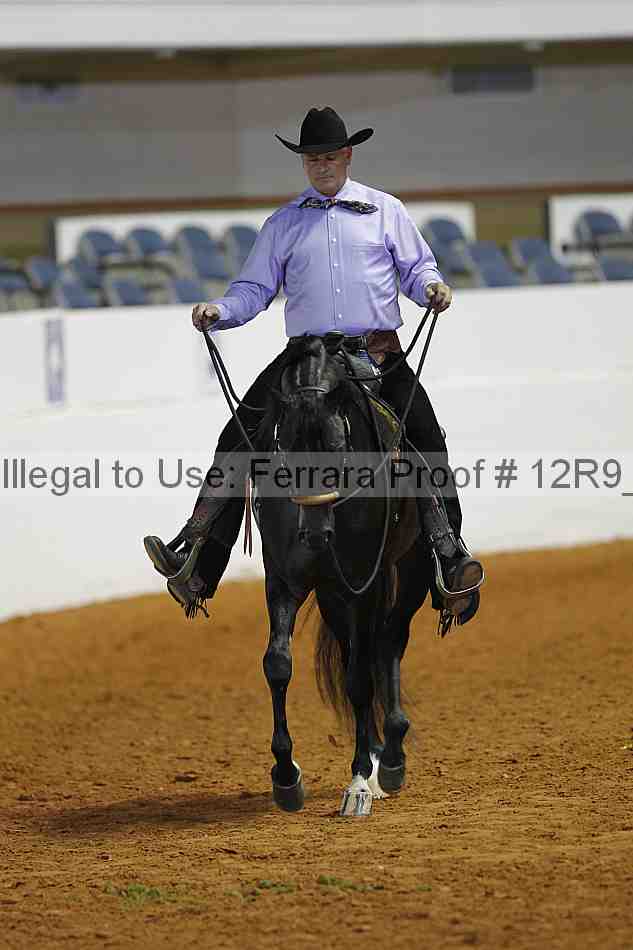 Proof Number 12r9_2749