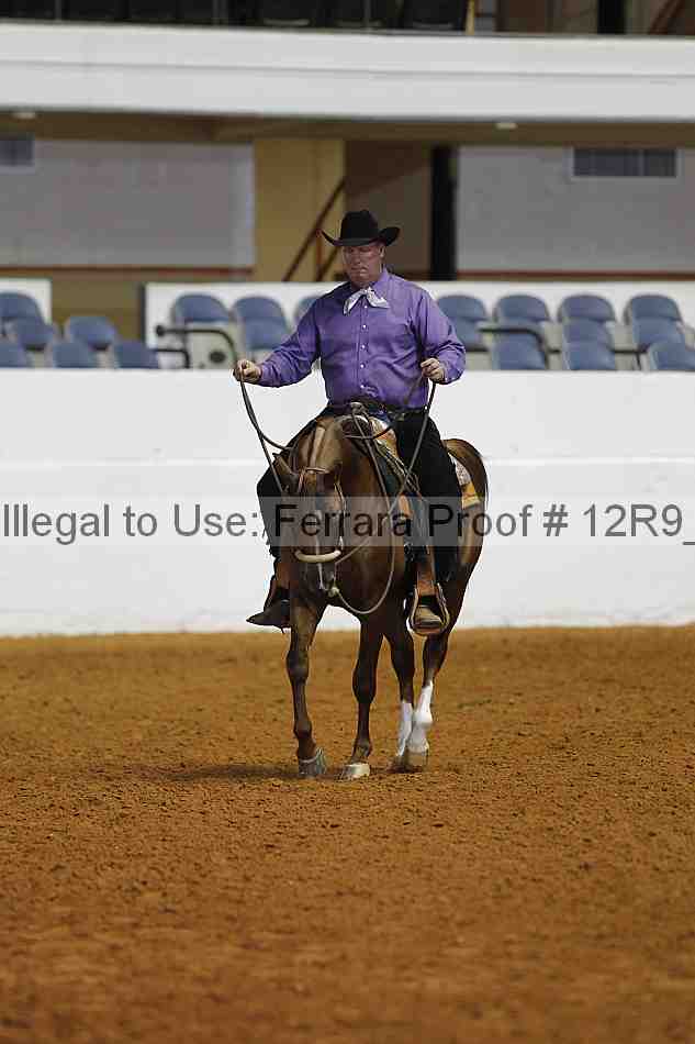 Proof Number 12r9_2750