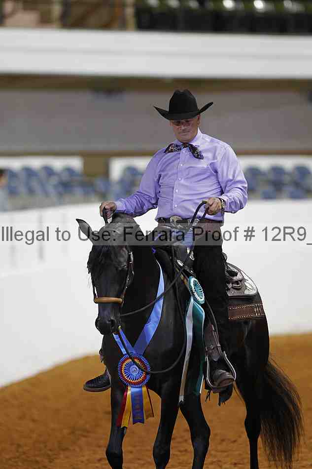 Proof Number 12r9_2760