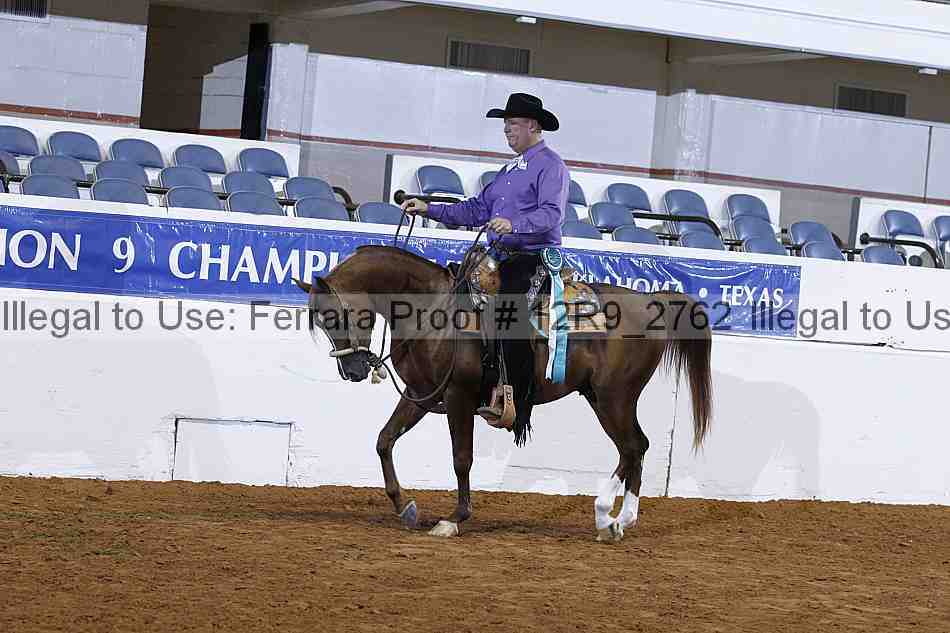 Proof Number 12r9_2762