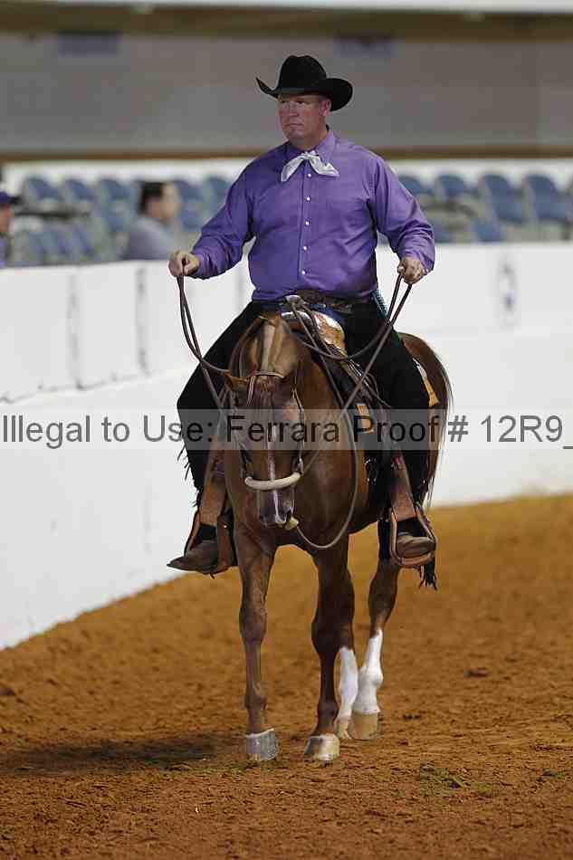 Proof Number 12r9_2769