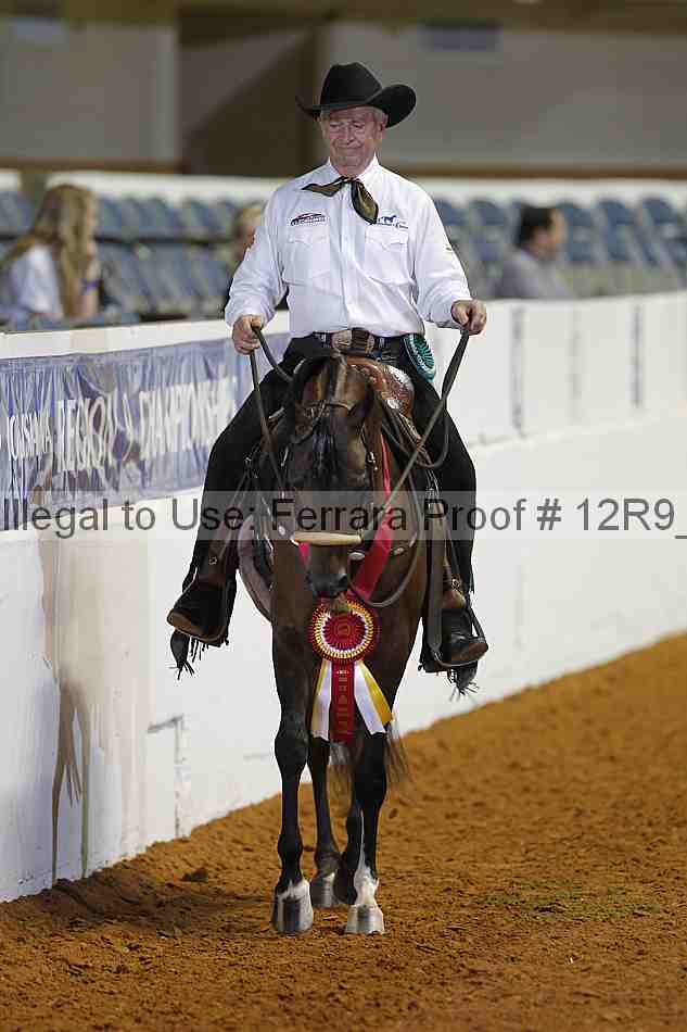 Proof Number 12r9_2777