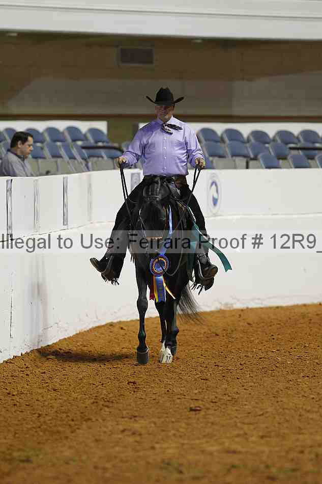Proof Number 12r9_2779