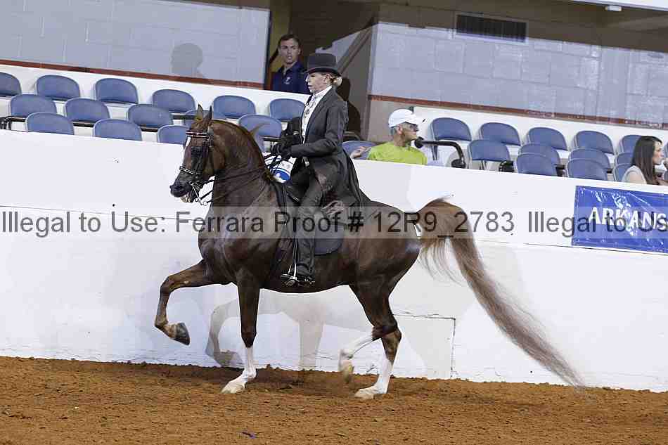 Proof Number 12r9_2783