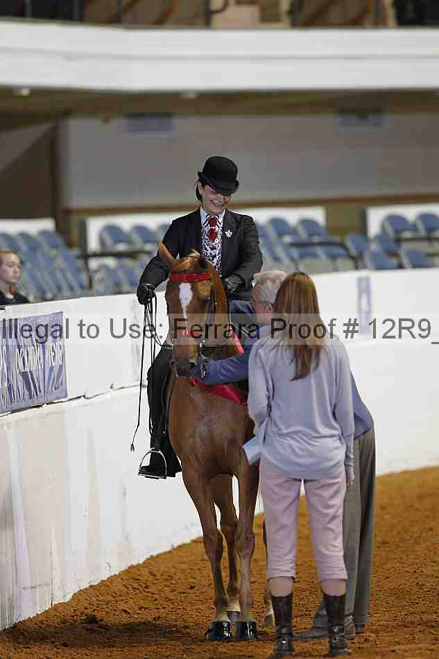 Proof Number 12r9_2821