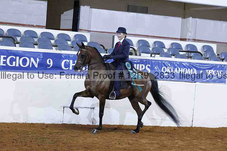 Proof Number 12r9_2833