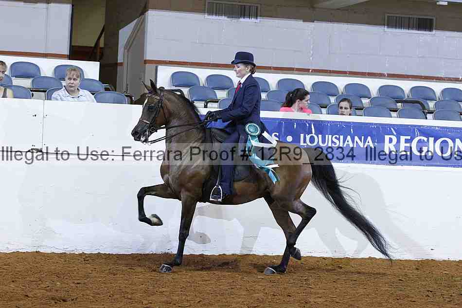 Proof Number 12r9_2834