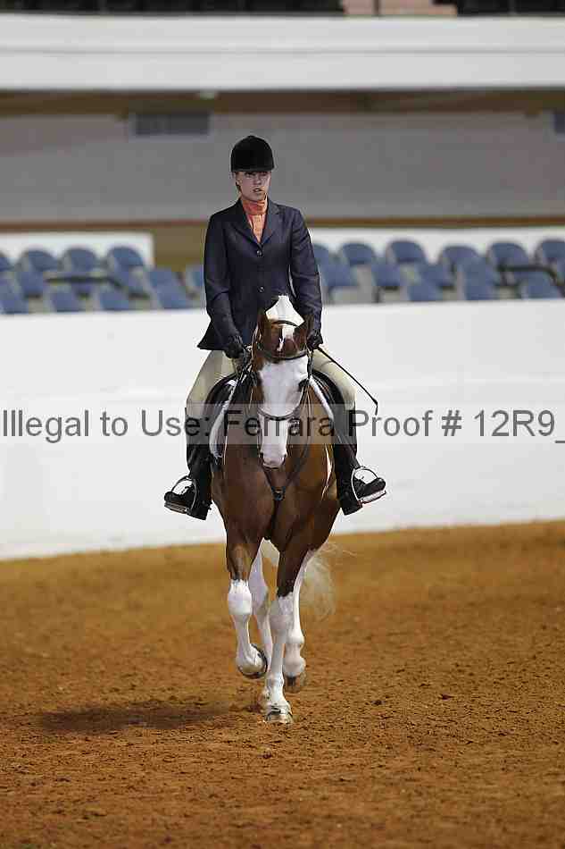 Proof Number 12r9_2872