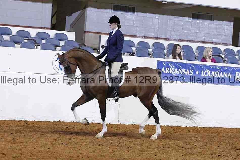 Proof Number 12r9_2873