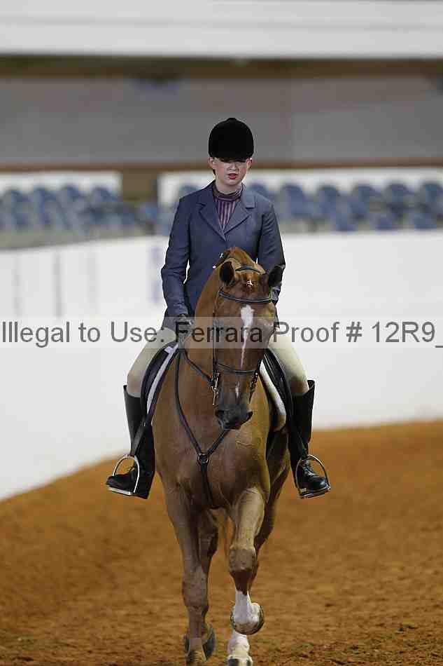 Proof Number 12r9_2876
