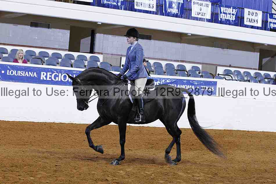Proof Number 12r9_2879