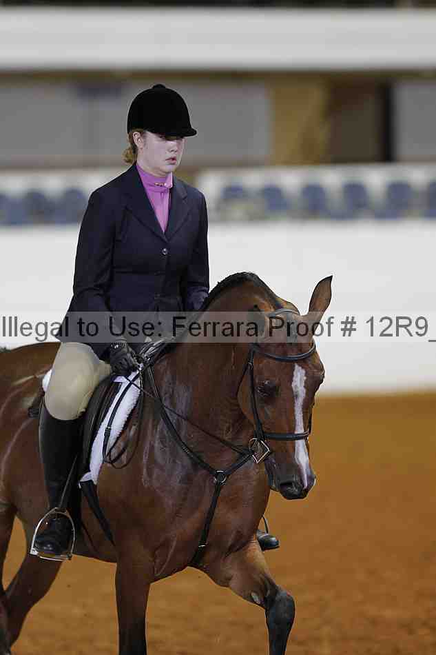 Proof Number 12r9_2880