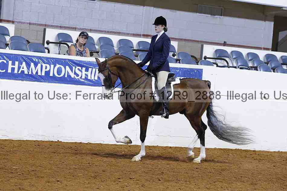 Proof Number 12r9_2888