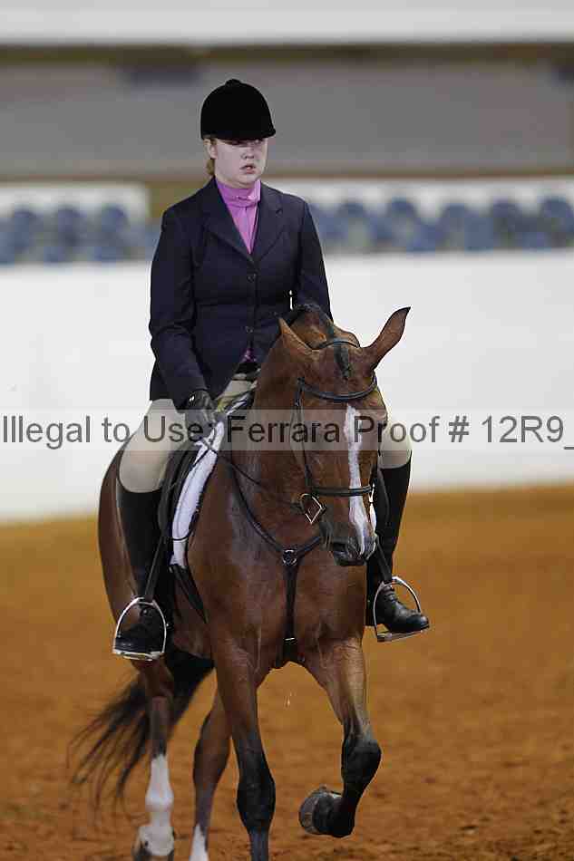 Proof Number 12r9_2891