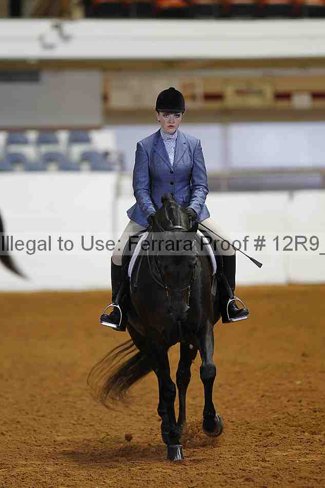 Proof Number 12r9_2893