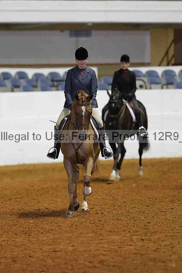 Proof Number 12r9_2894