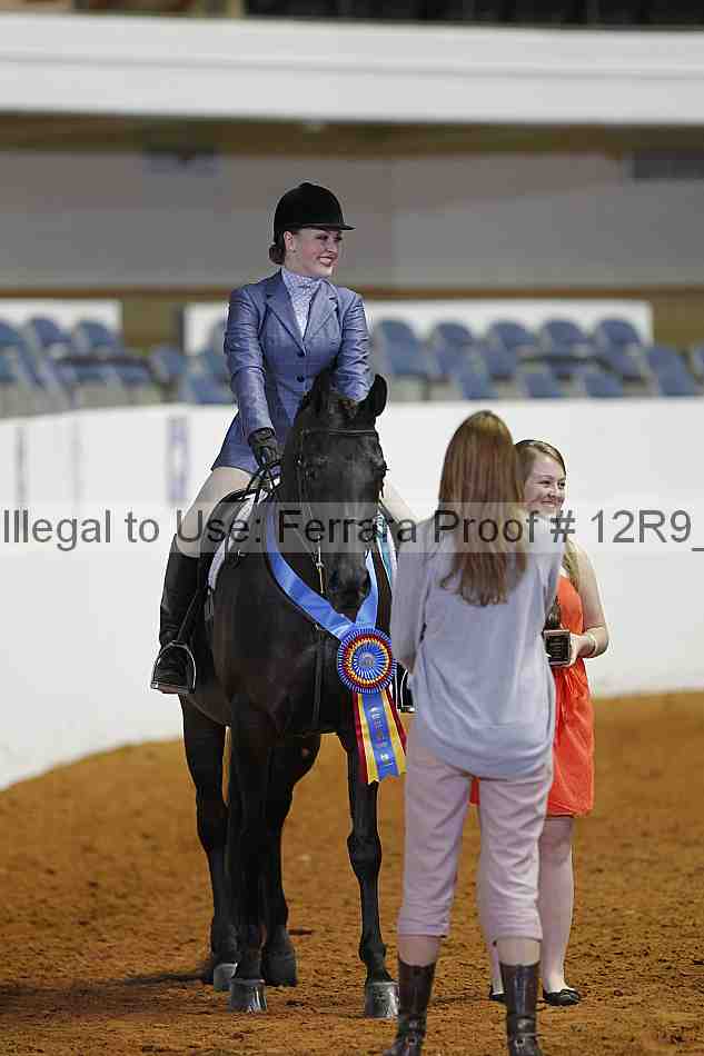 Proof Number 12r9_2925