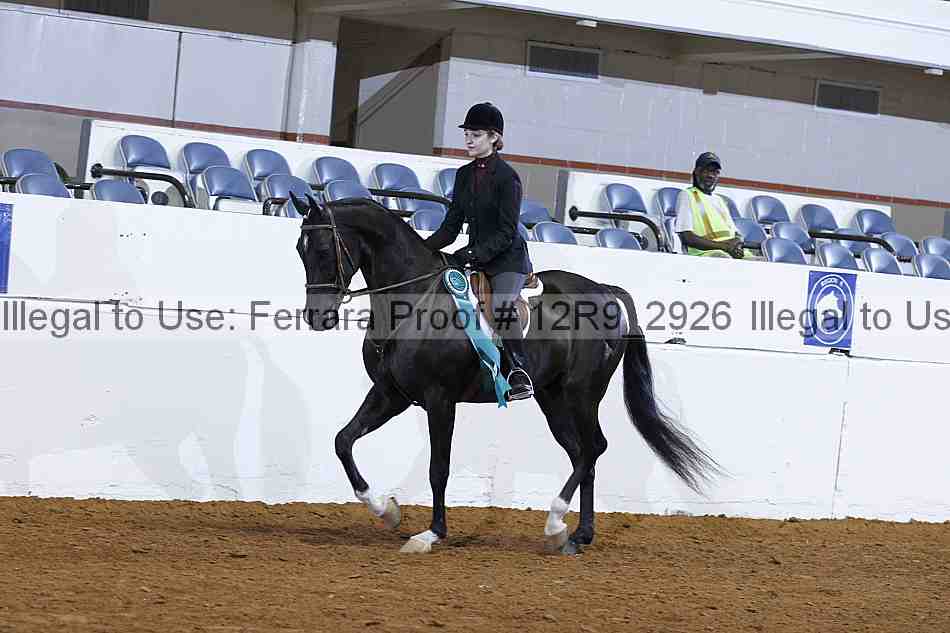 Proof Number 12r9_2926