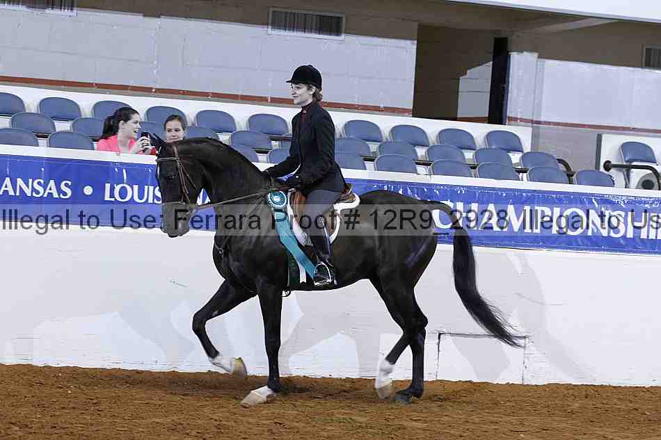 Proof Number 12r9_2928