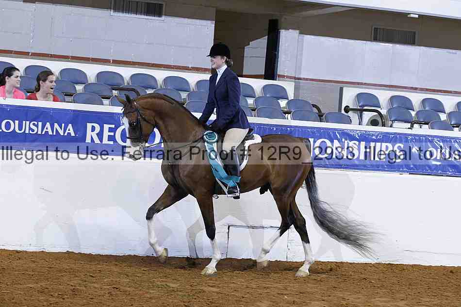 Proof Number 12r9_2933