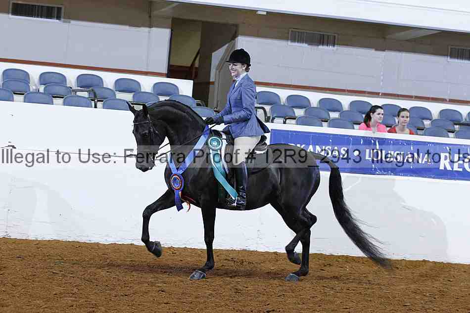 Proof Number 12r9_2943