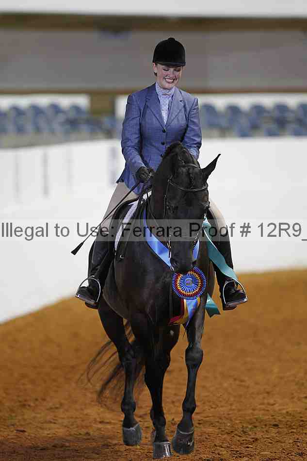 Proof Number 12r9_2951