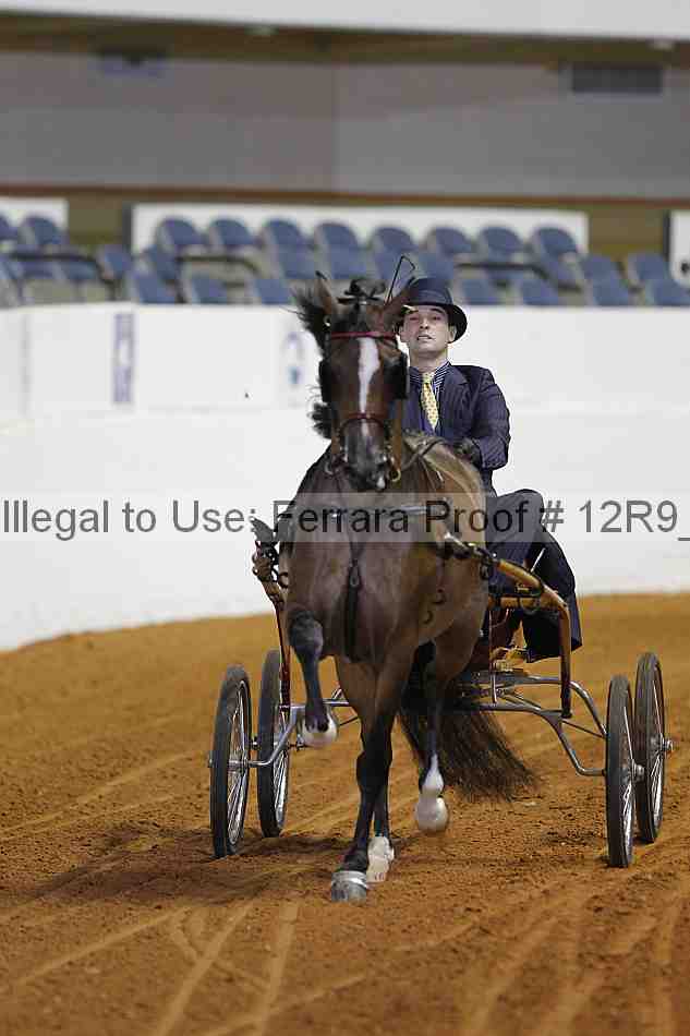 Proof Number 12r9_2977