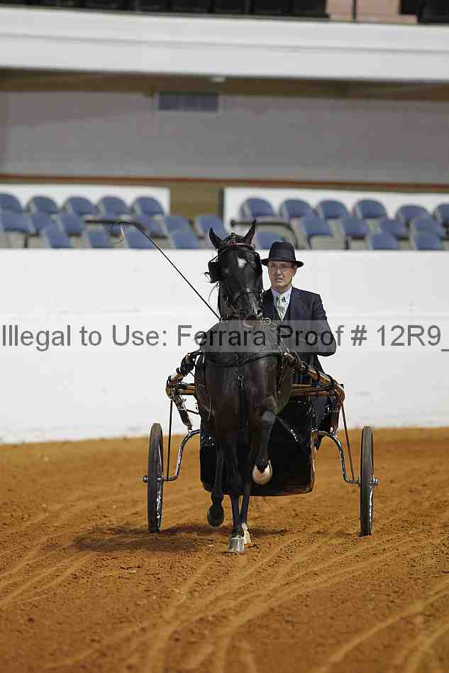 Proof Number 12r9_2978
