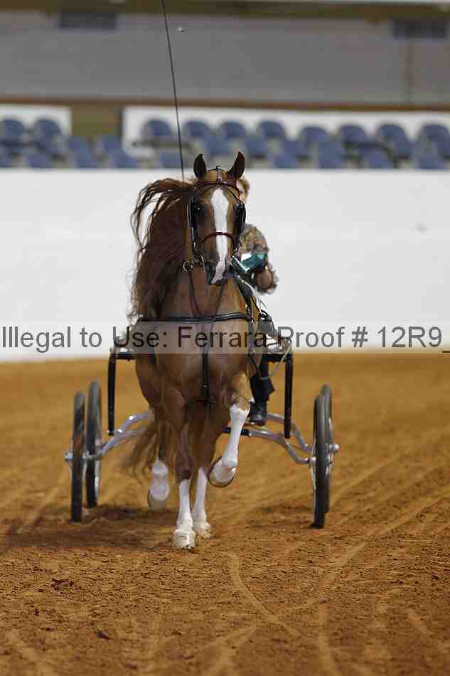 Proof Number 12r9_2993