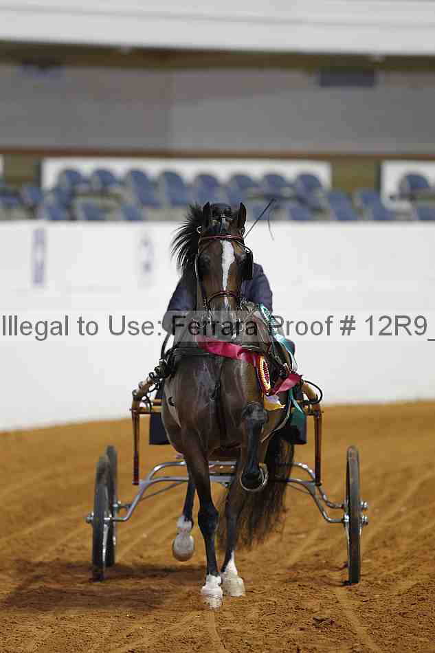 Proof Number 12r9_2994