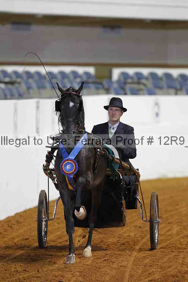 Proof Number 12r9_2998