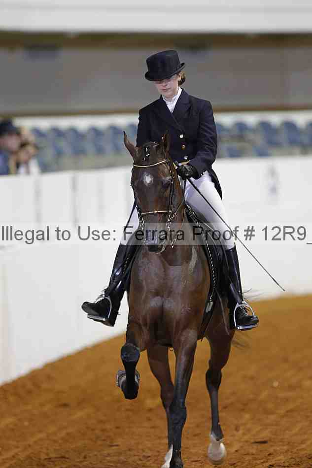 Proof Number 12r9_3035