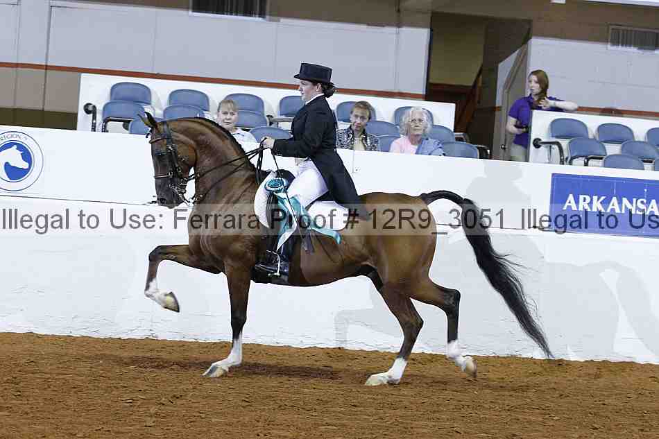 Proof Number 12r9_3051