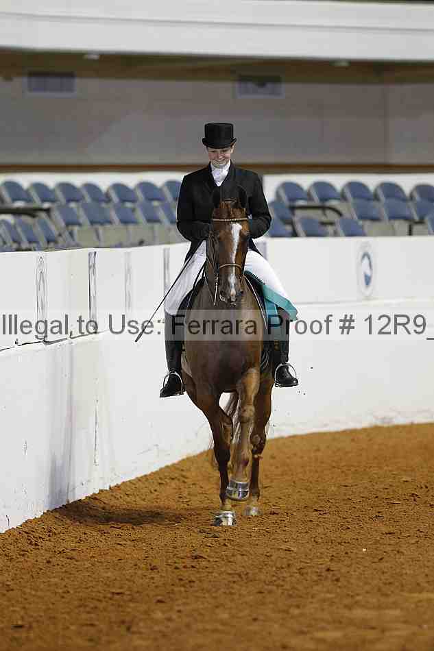Proof Number 12r9_3057